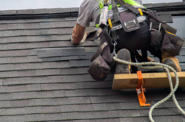 Best Roof Insulation Installation  in Jersey City, NJ